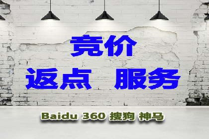网络推广与竞价优化成功案例